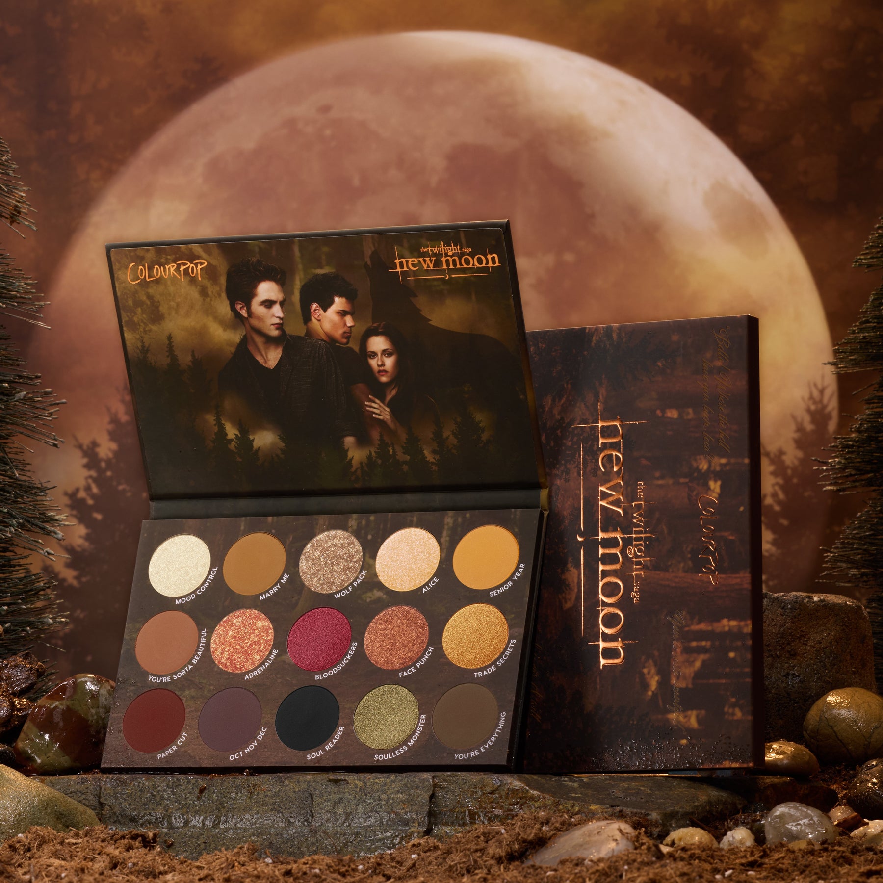 New Moon - Clean Bundle