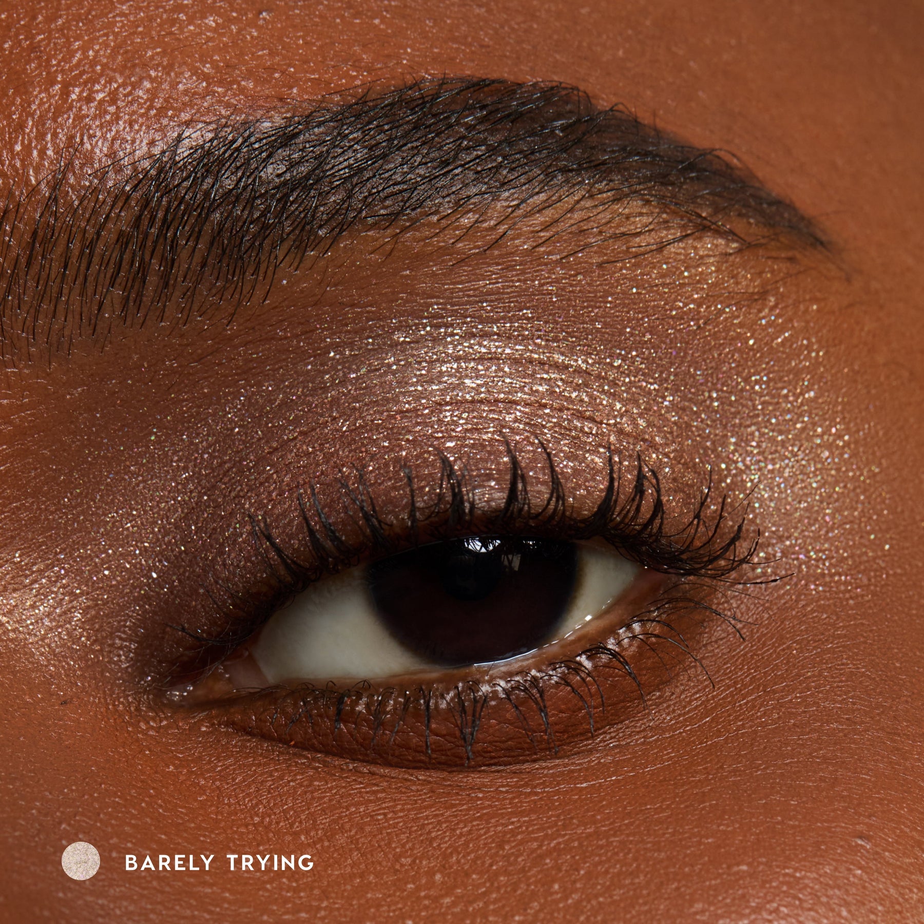 Barely Trying - Everyday Pop